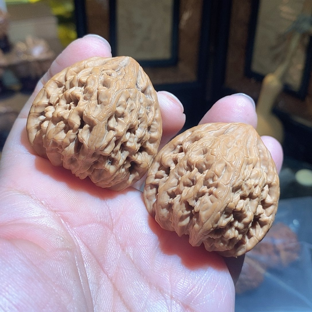 文玩核桃把件43虎头王全品