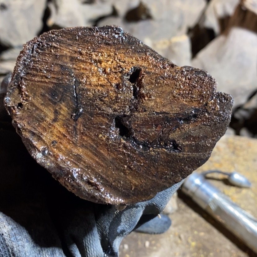 【闪购商品】把件贡木清**在私人订制