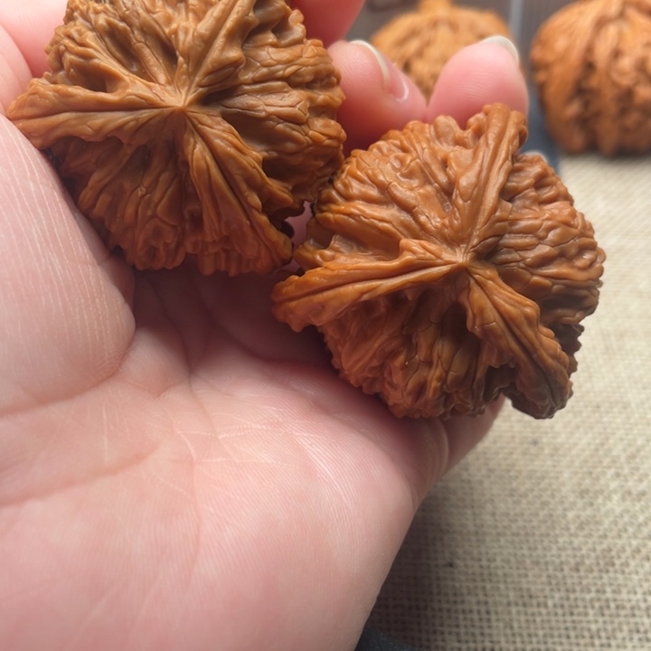 ~***～核桃白狮子核桃43