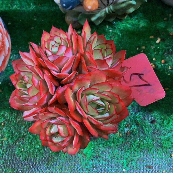 你就不要在联系我们