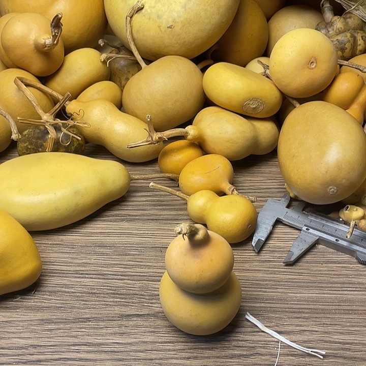 安***毛羊羔毛哈哈哈哈哈哈哈哈