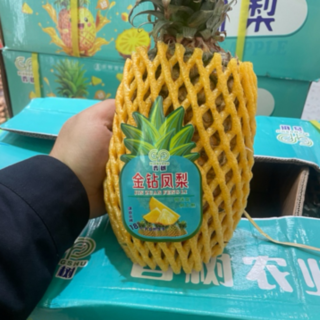 金钻凤梨一个