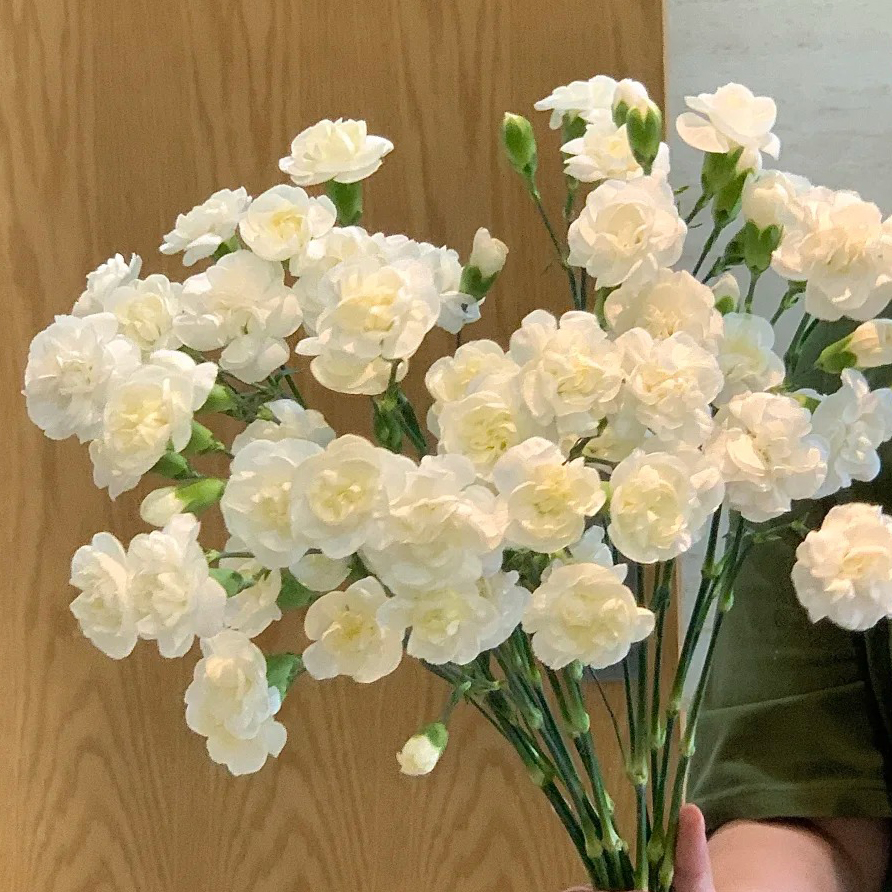 云花巷 *  【多丁】鲜花优选顺丰直发
