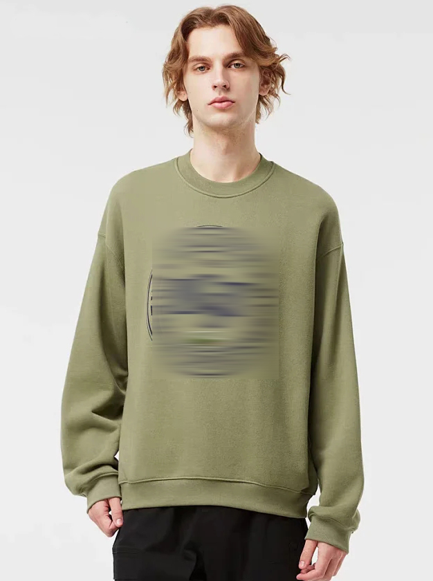 双11 特价款 男士毛圈纹圆领卫衣  2897