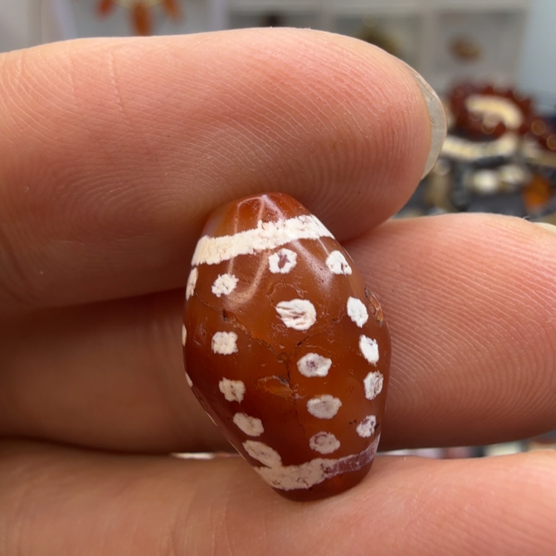 直发专拍专用链接。