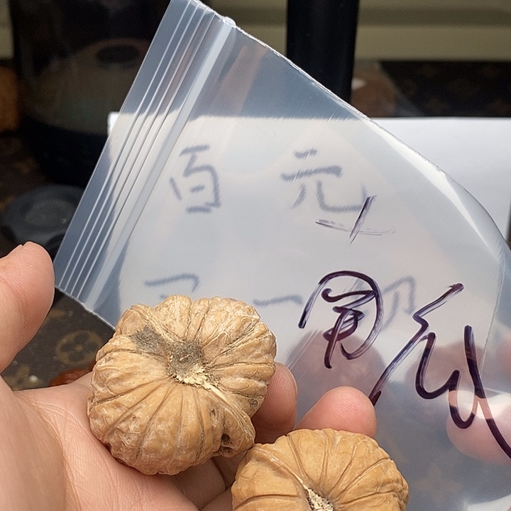 吊坠文玩核桃.86735573573573