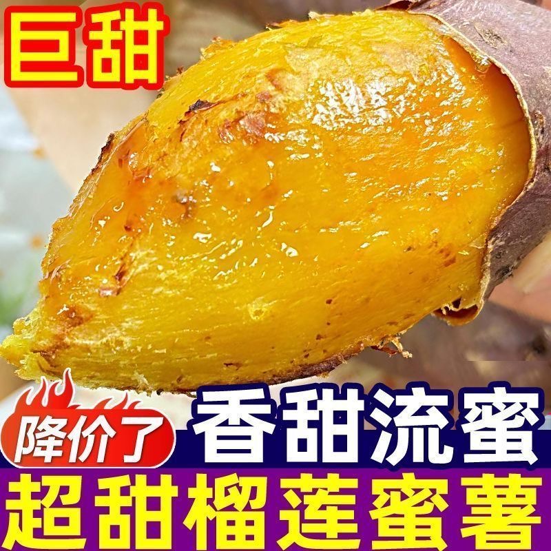 【黄金蜜薯】正宗糖心流油蜜薯新鲜红薯超甜软糯香甜包邮