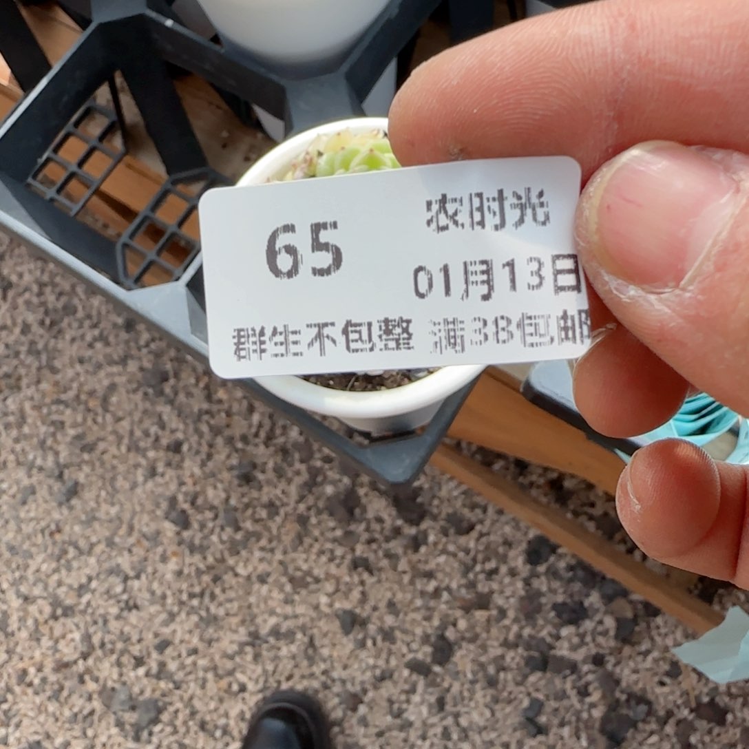 一**北【闪购商品】0113-65麦杆专拍