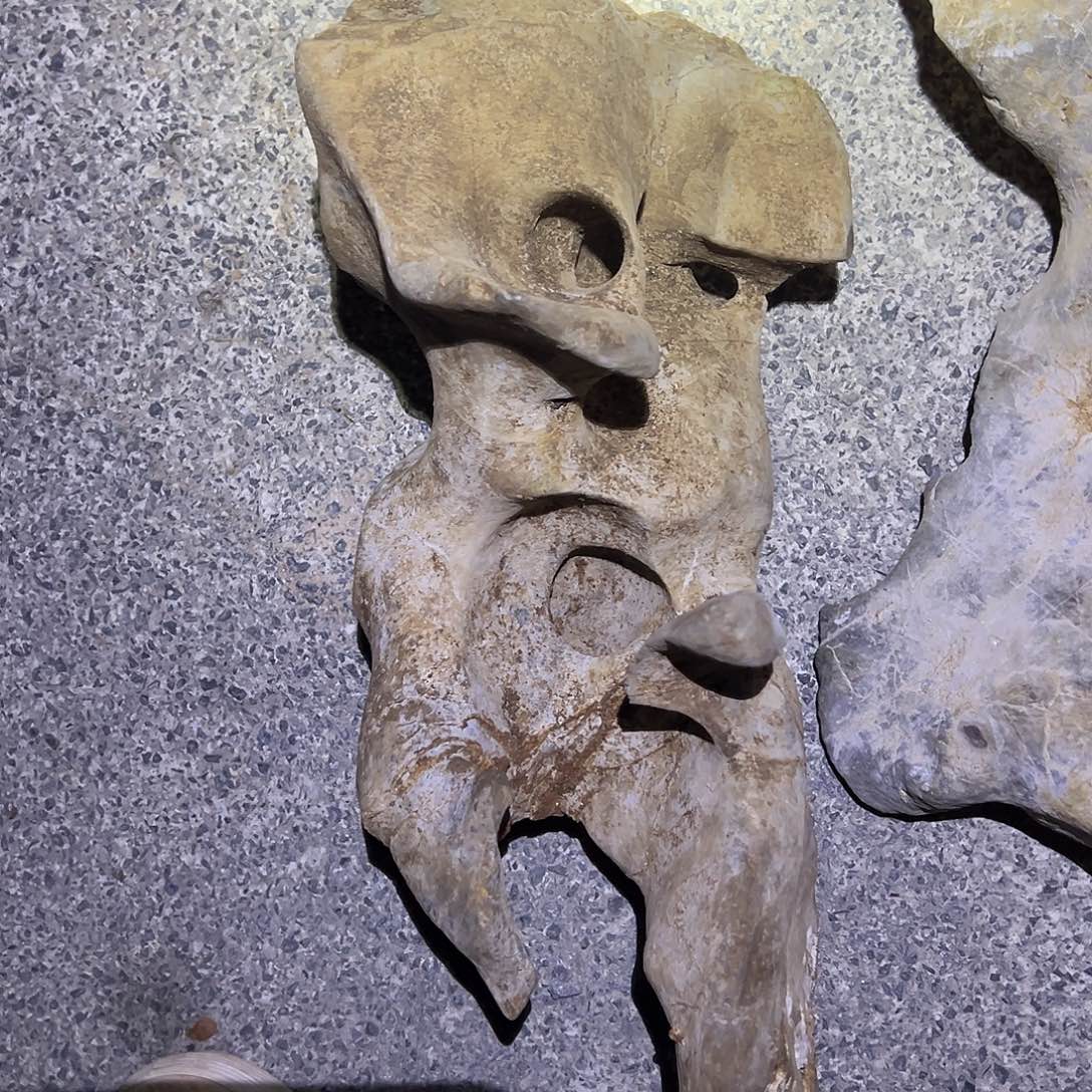 姐姐哈哈哈哈哈哈哈哈哈哈哈哈哈哈哈哈哈