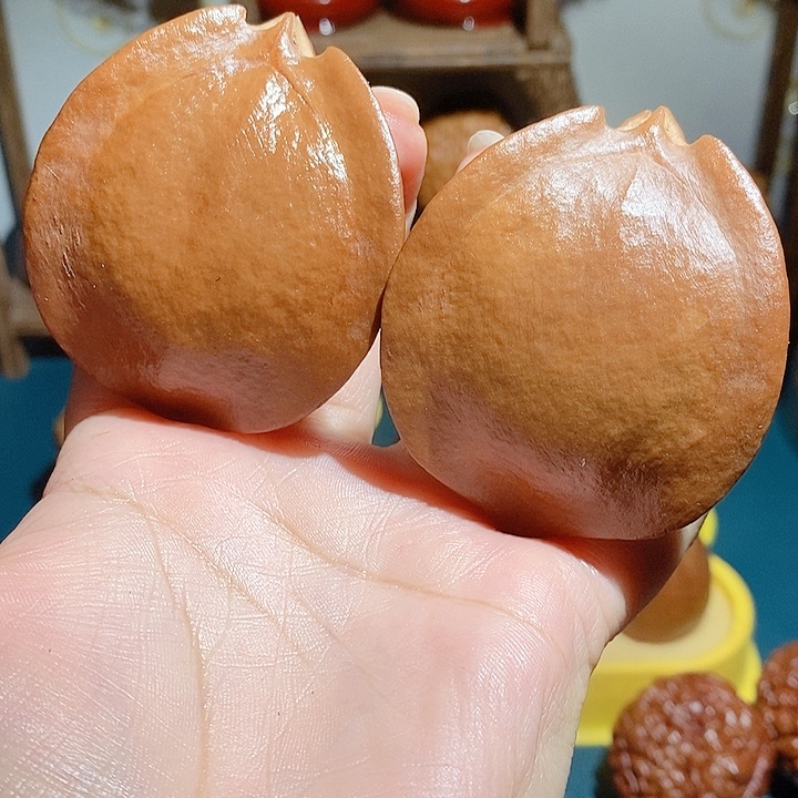 野生大橄榄核飞碟橄榄5062