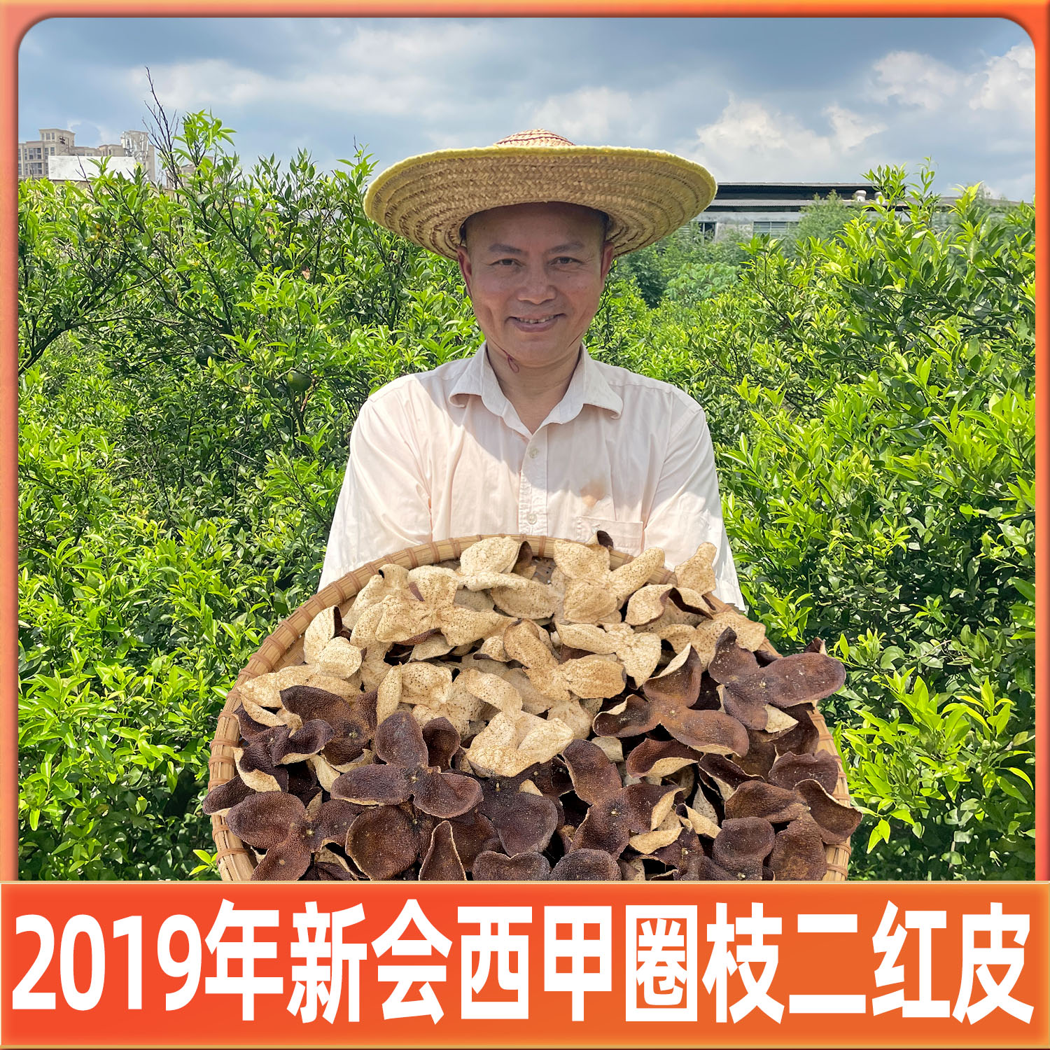 2019年新会西甲圈枝二红皮（纯干仓生嗮陈皮）
