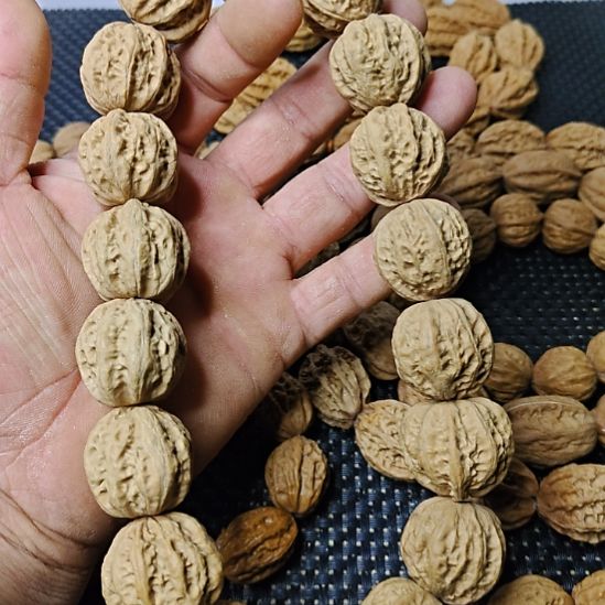 用***0木质类纯野生山核桃