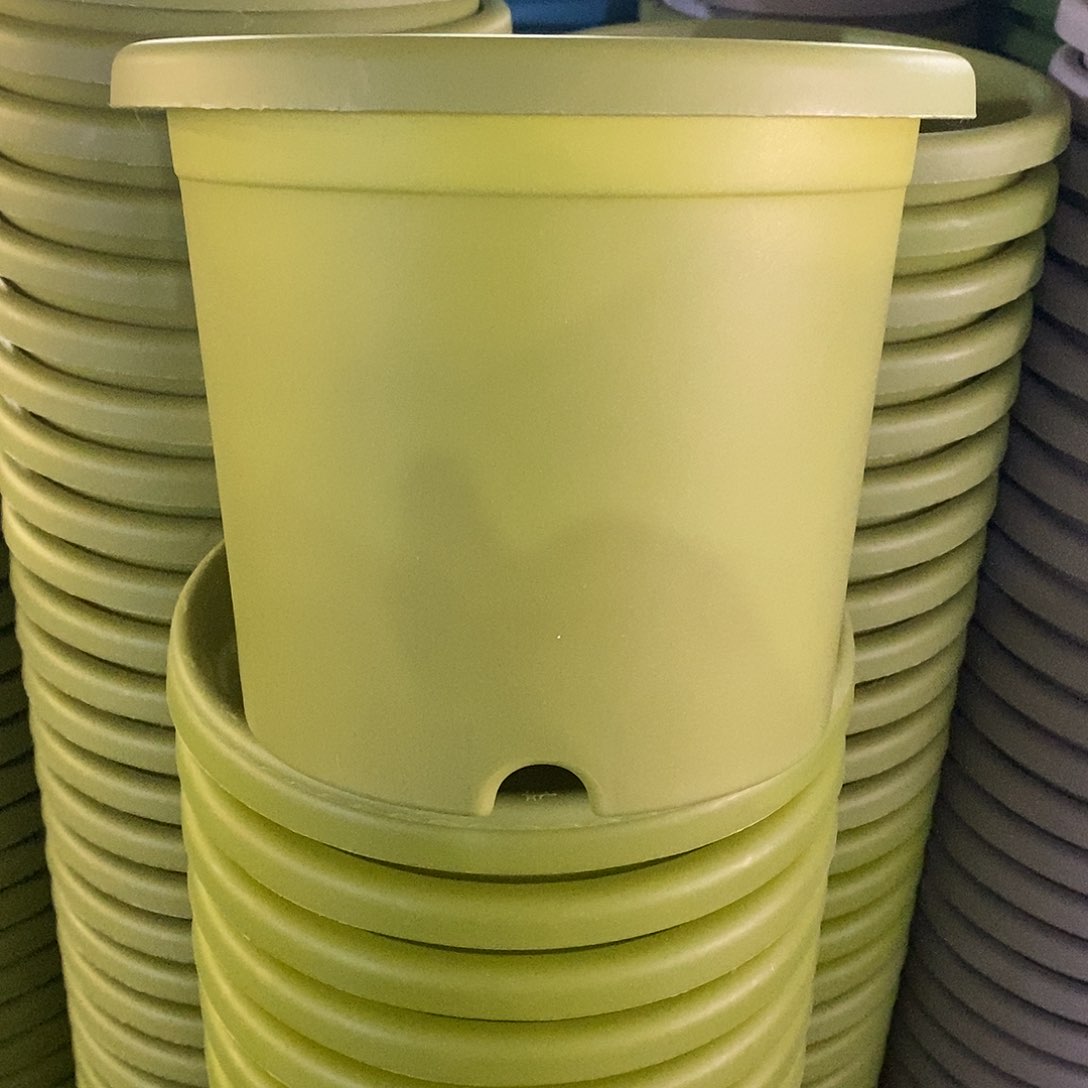 树脂特价3#无拖果绿10个