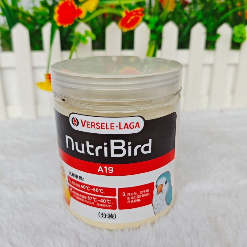 鹦宝宝之家鹦鹉奶粉学吃