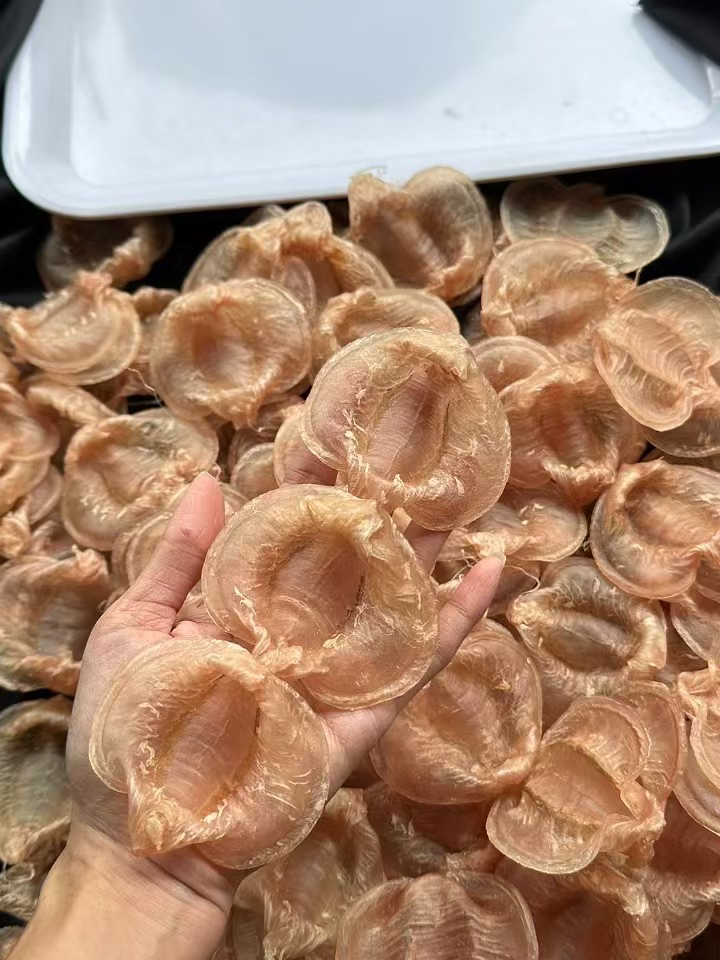南澳湛江型深海白花公胶