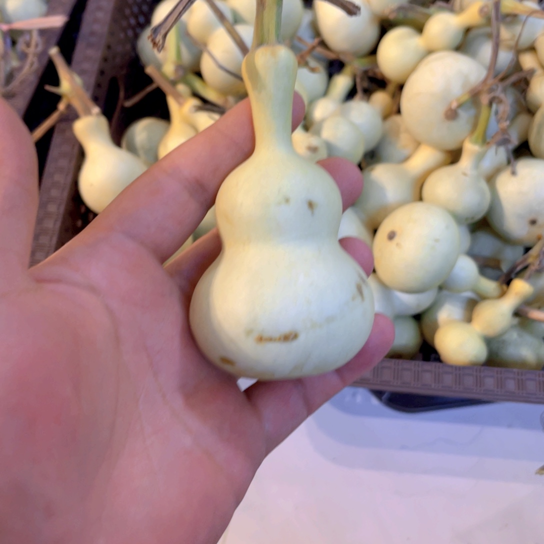 毛***画感谢大哥支持兄弟