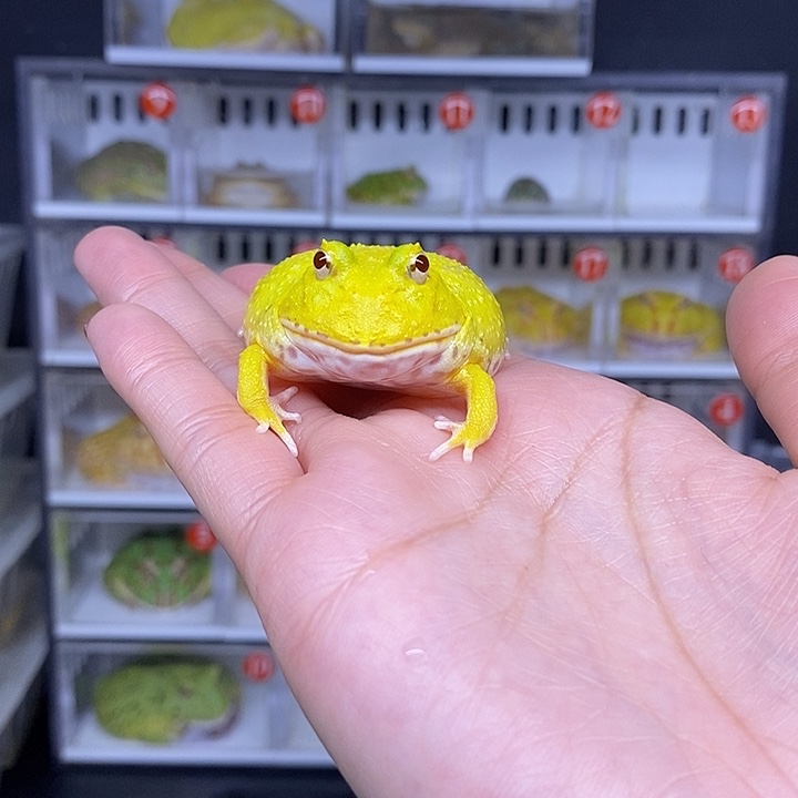 特价秒杀活动地址