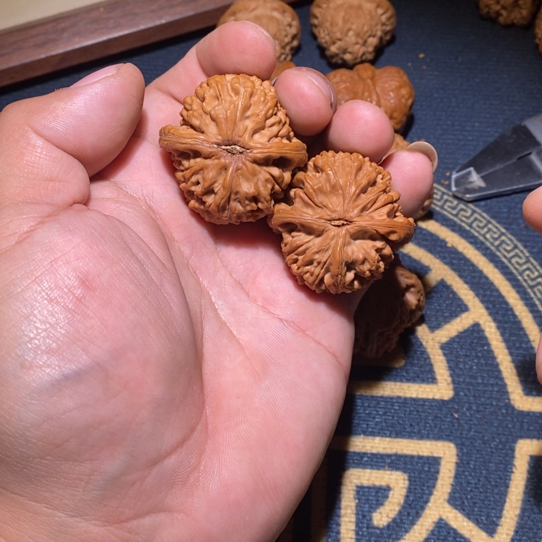 文玩核桃吊坠水龙纹