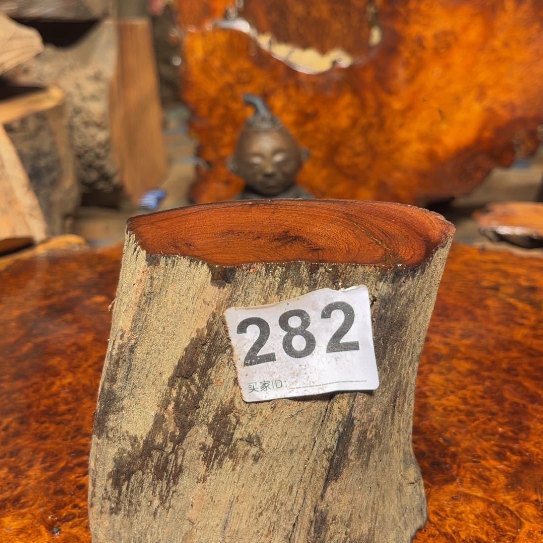 大果紫檀（缅甸花梨）