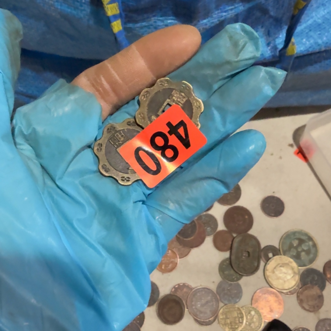 东***飞杂色豆（科檀/科特迪瓦檀木）