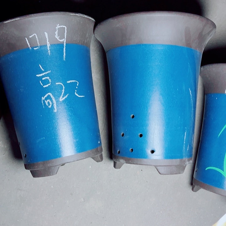 红陶紫砂紫砂紫砂