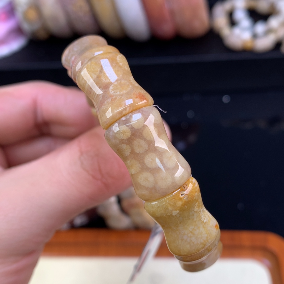 硅化珊瑚（珊瑚玉）未镶嵌颈饰18号竹节雏菊➕蕾丝