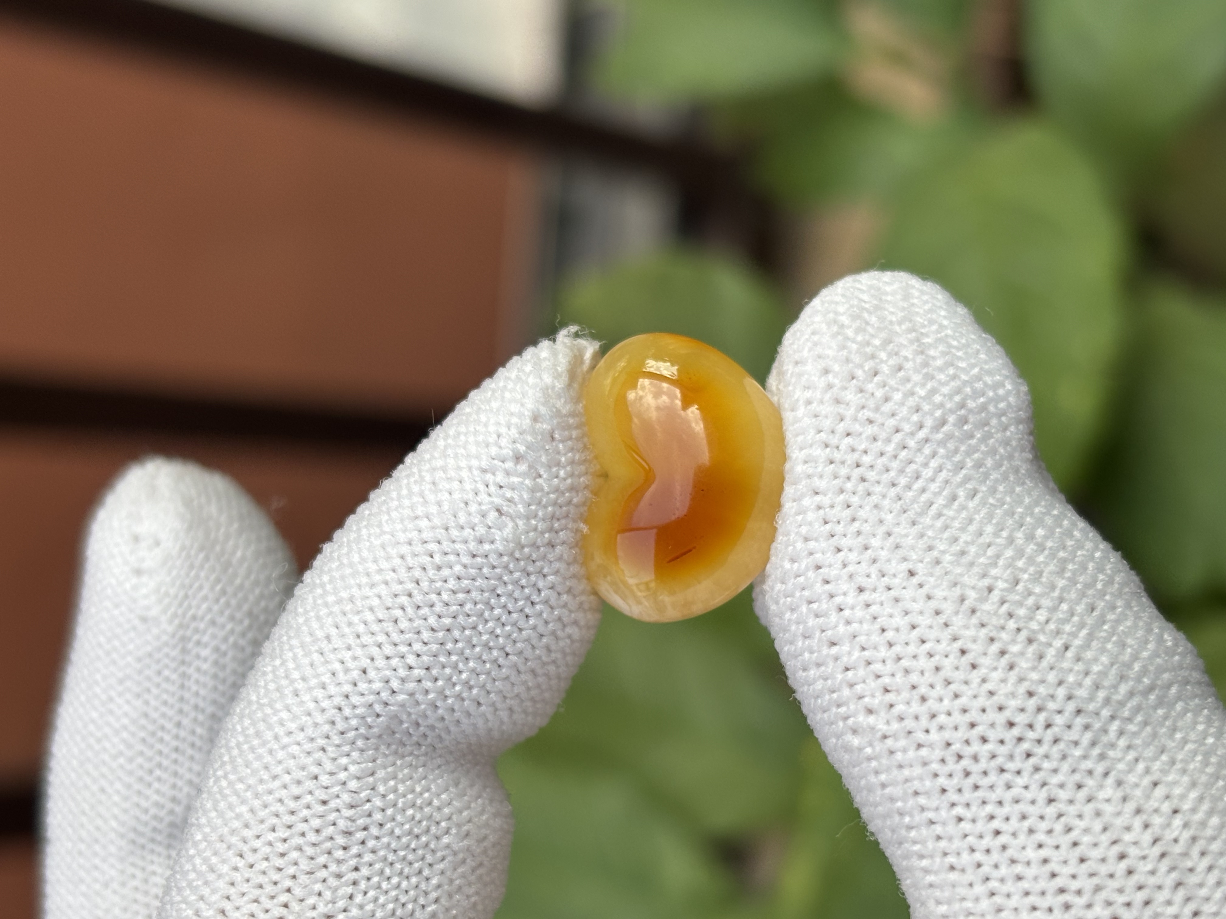 5140天然蜜蜡琥珀屁桃17.6x13.8x9.1mm