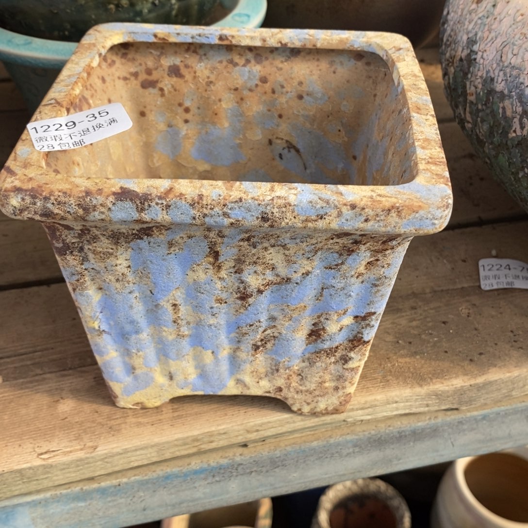 35号多肉盆口径11