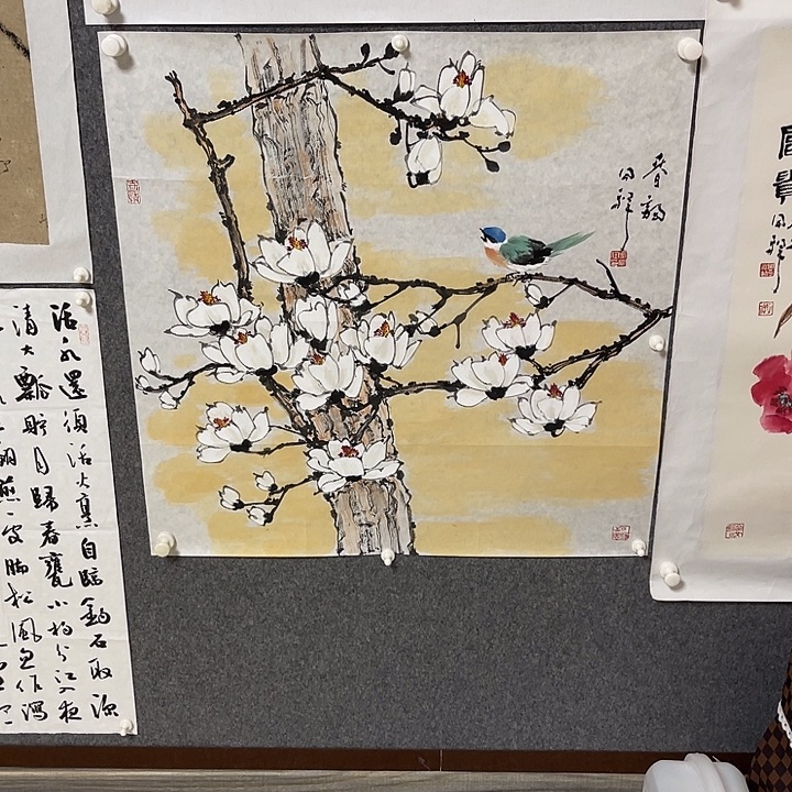 横款周同祥四尺斗方玉兰小鸟画