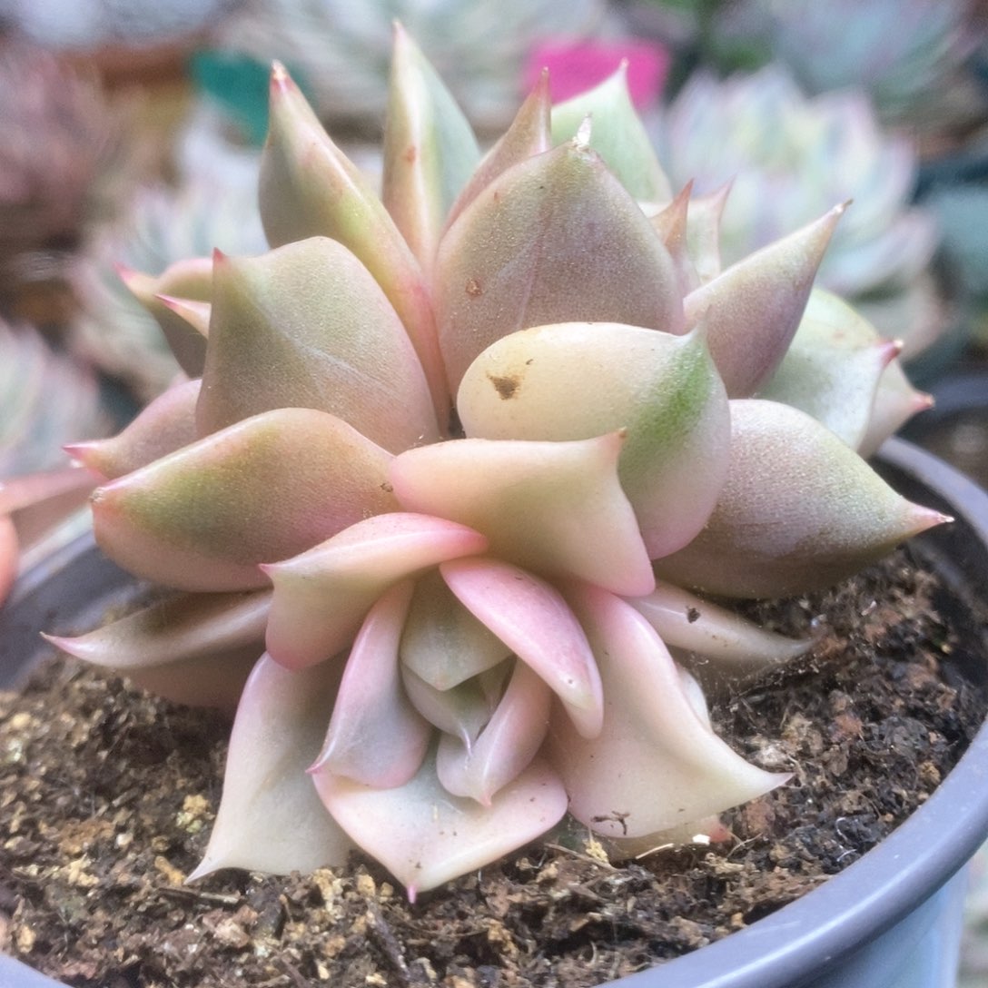 139贝加尔湖锦锦锦锦锦