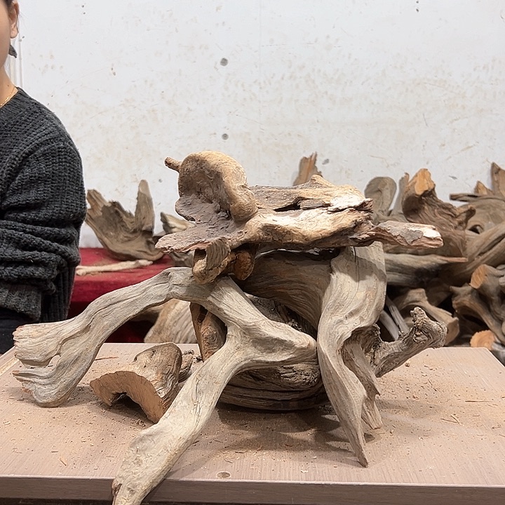 柏木诚*我们都是好孩子