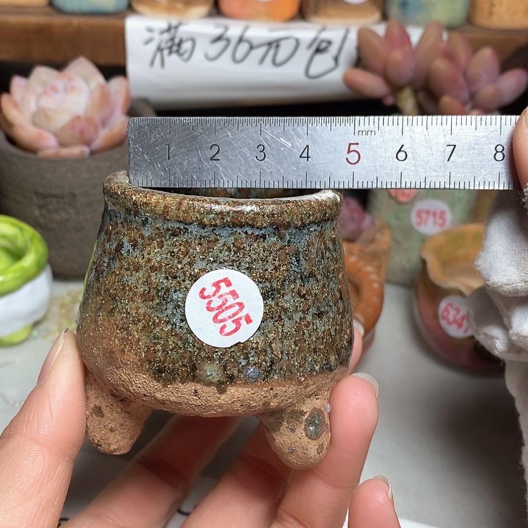 红陶拍5送一个小