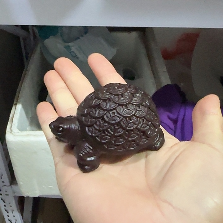 木黑檀木7金钱龟一只