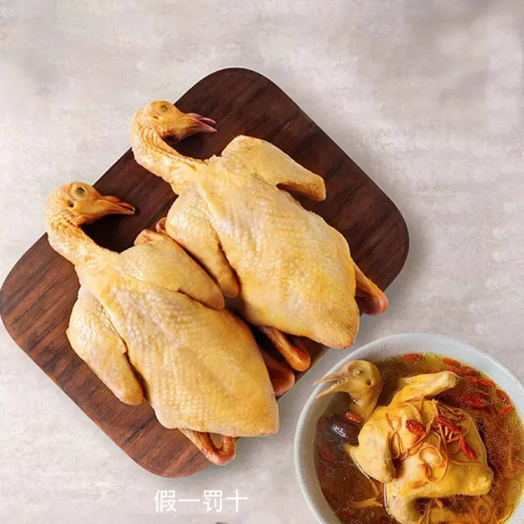 5年老鸽子买三送一单只净重9两左右纯粮食喂养骨折术后孕妈妈必备