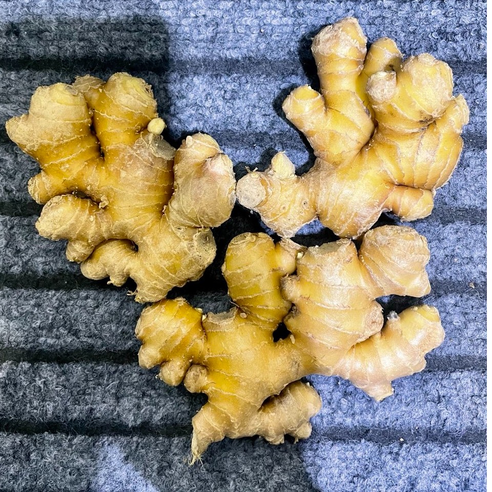 姜链【精品水洗小黄姜】云南罗平山地小黄姜水洗人工分拣源头发货