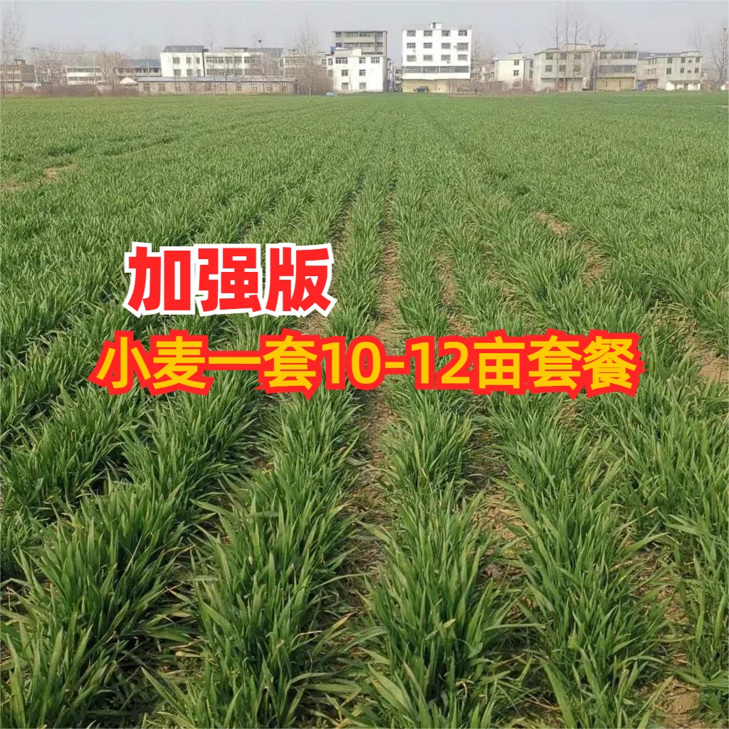 小麦一喷三防肥料技术方案