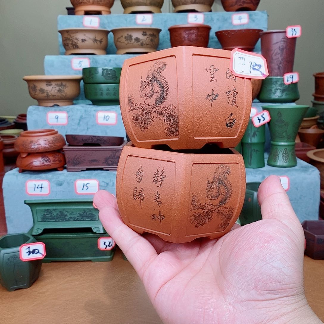 紫砂花盆我在看电影