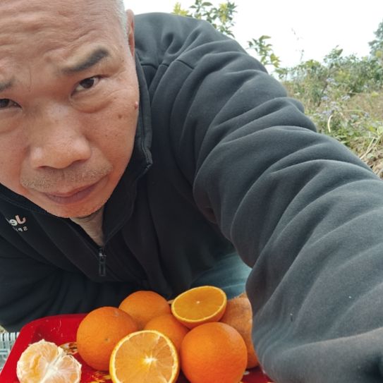 爱媛28好吃好吃好吃的