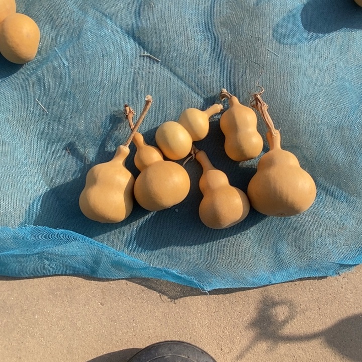 葫芦八宝葫芦六个