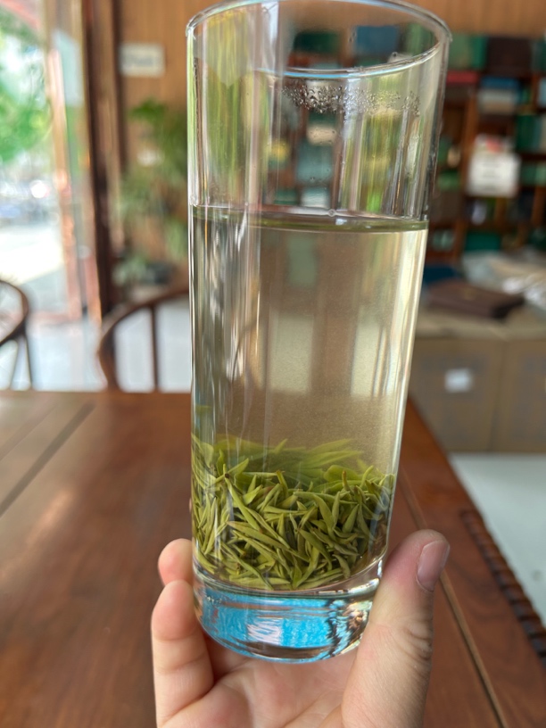 信阳毛尖2025年明前头采新茶信阳毛尖高山老旱茶鲜爽回甘花香