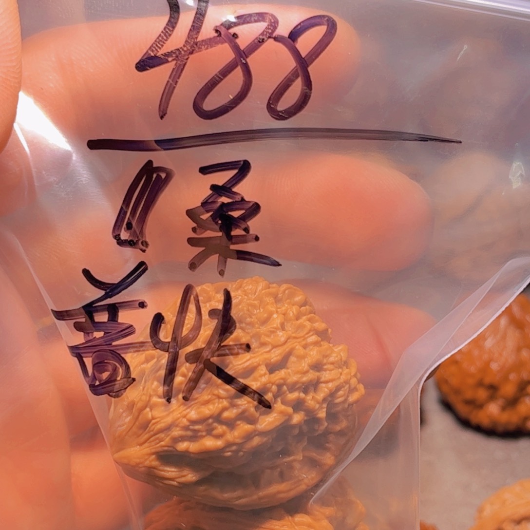 桃核把件?*榆37南疆石全品无修