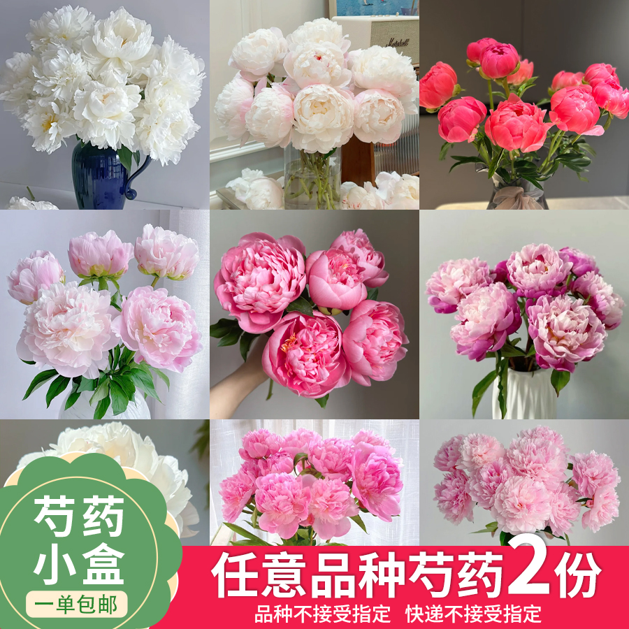 【云舍花卉】【不指定快递】一单包邮【芍药小盒任意芍药两份】