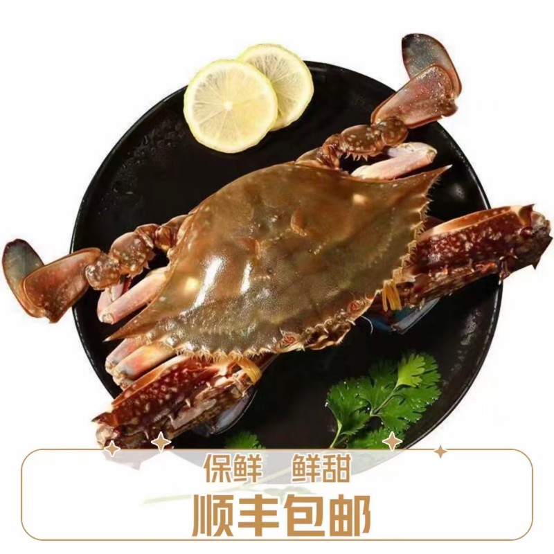 鲜活二公飞蟹 每只4两左右 三斤装【保鲜不保活】断腿正常顺丰包邮
