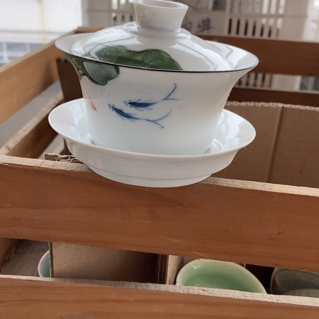 杯直播链接直播链接