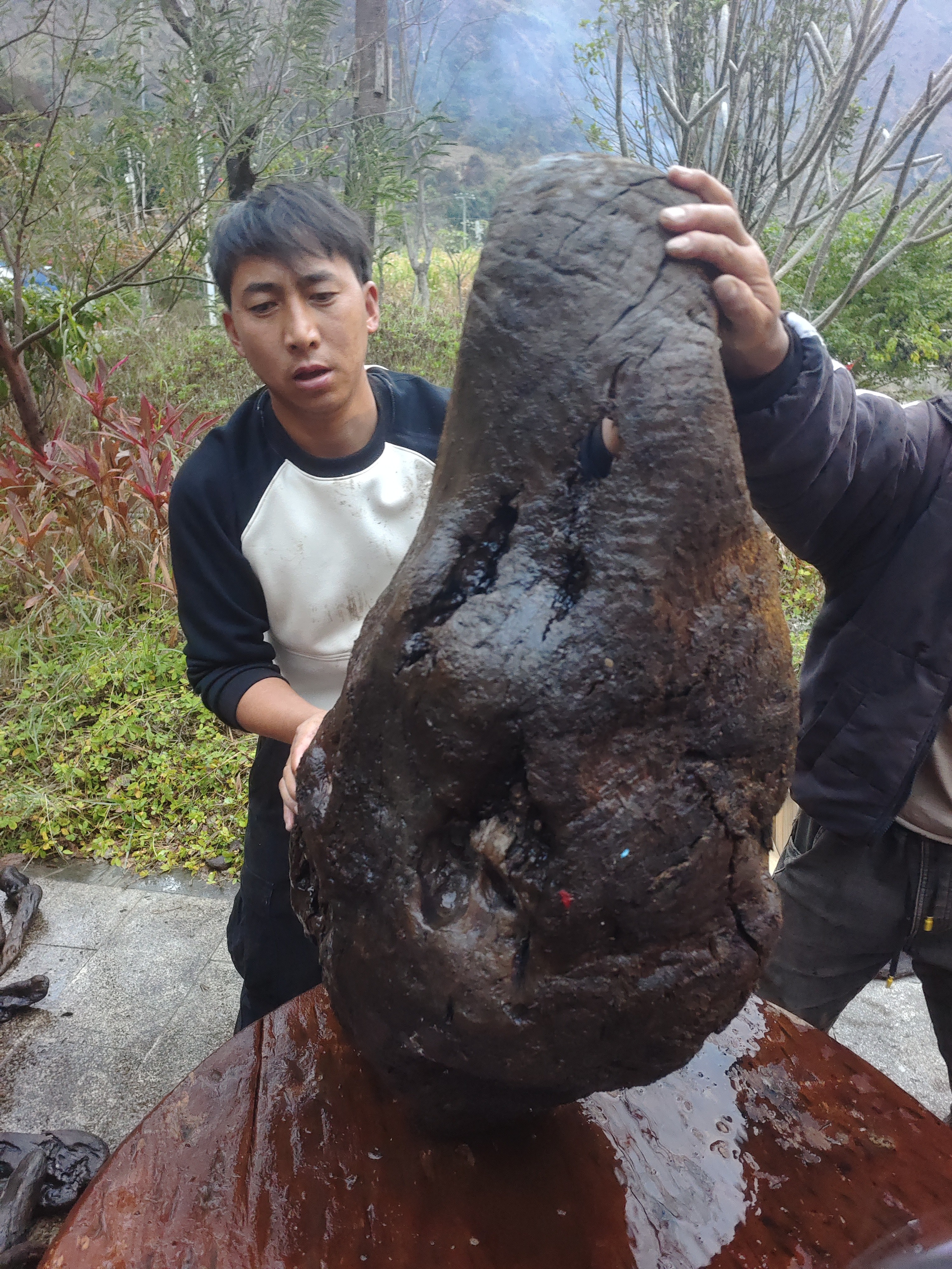 民间使用风化木阴沉木