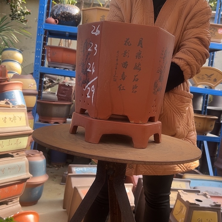 红如意六方加托大花盆