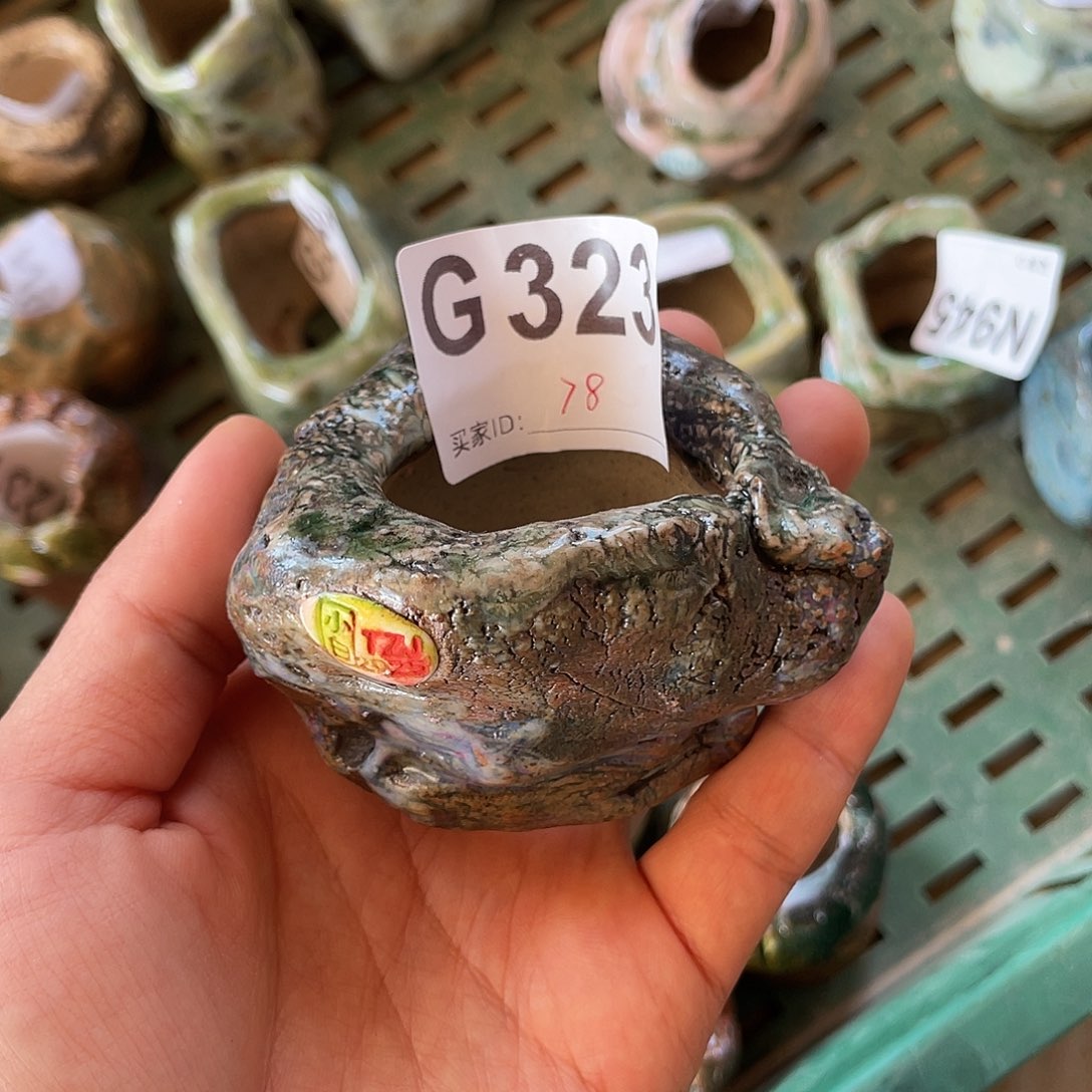 坛子姐花盆 小白孤品 内口4左右