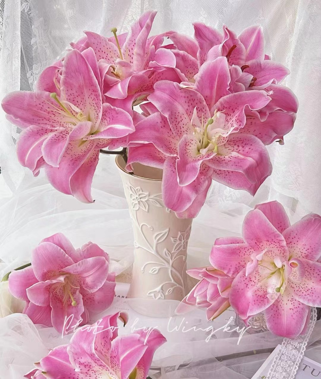 [粉拉菲  重瓣百合鲜花]顶苞不上色属正常