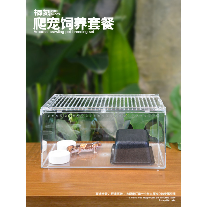 栖刻丨中号地栖爬宠饲养盒套装丨DIY造景丨守宫角蛙蜘蛛蛇龟通用