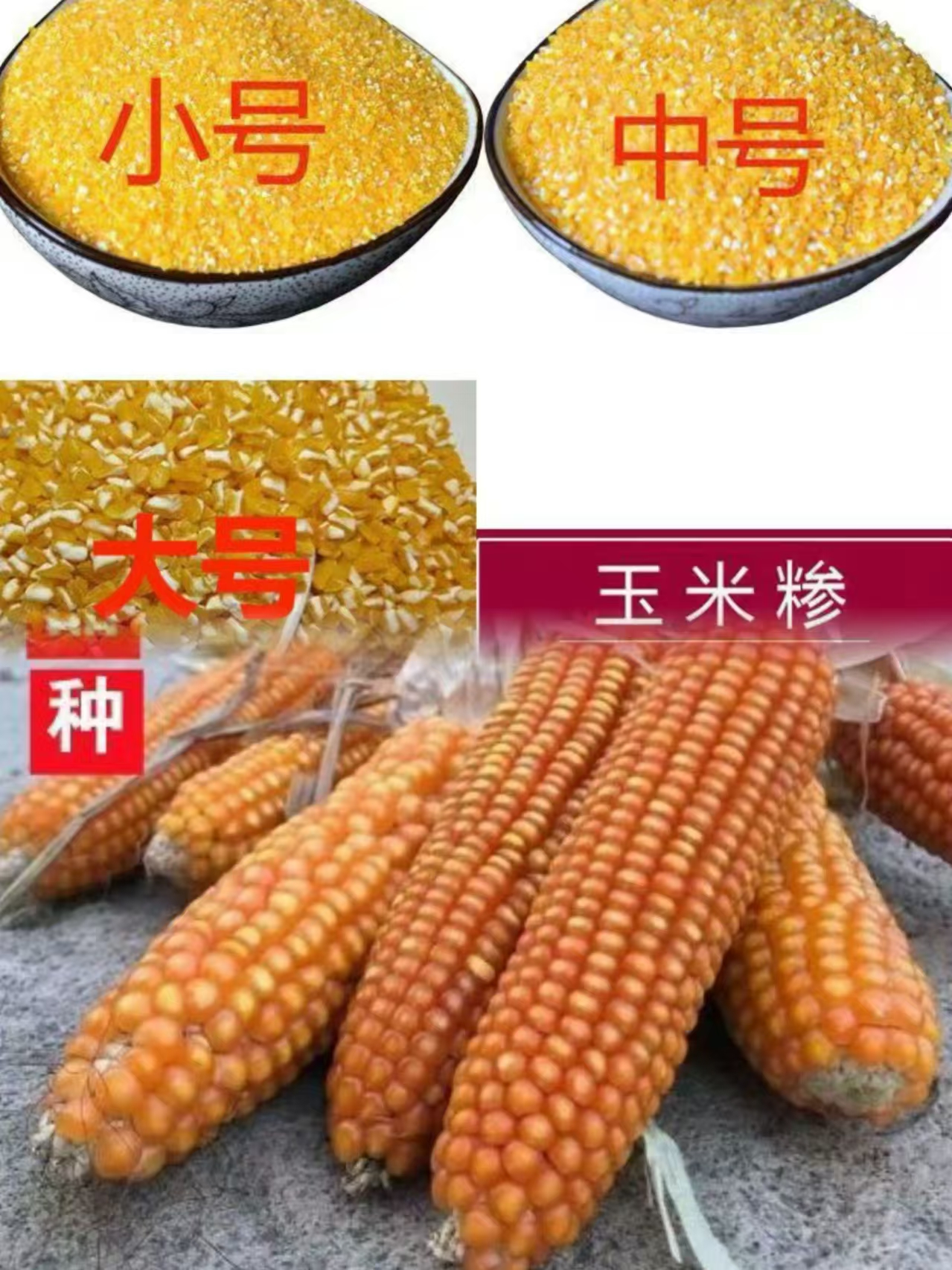 （非种子）陕南农家老品种玉米大糁子3斤5斤非转现磨玉米碴子